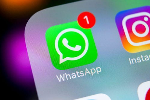 电脑上不了whatsapp,原因排查与解决方案