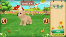 家养宠物模拟器 