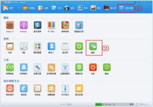 电脑版skype导出聊天记录,回顾与好友的精彩对话瞬间