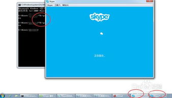 电脑登2个skype,两台电脑上的Skype奇妙际遇