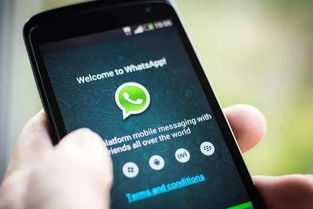 法国人不用WhatsApp吗,为何国人偏爱本土通讯工具而非WhatsApp？