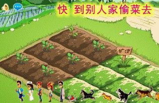 白菜游戏app免费版 