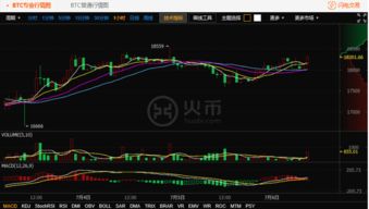 比特币以太坊连续跌价,市场波动背后的分析