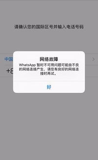 电脑登不了whatsapp,解决电脑无法登录WhatsApp的实用攻略