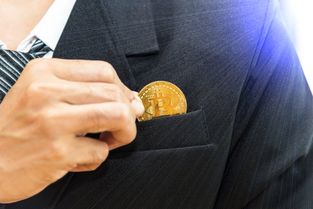 大咖说加密货币什么意思,大咖们的深度解读与未来展望
