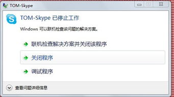 电脑下载了Skype打不开,排查与解决指南