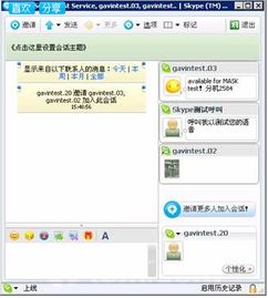 多少人用skype,跨越时空的沟通桥梁