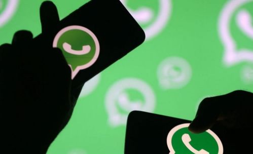 查看whatsapp黑名单,隐私守护还是社交隔离？