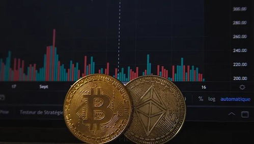 布币加密货币,探索其独特特性与未来潜力