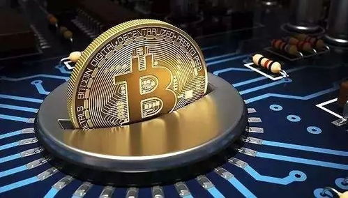 比特币加密货币数量,加密货币世界的数字足迹