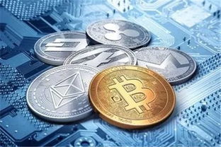 德国加密货币骗局案例,揭秘巨额损失背后的网络陷阱