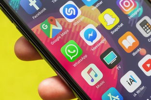 代替WhatsApp的软件,多款热门通讯软件全面评测