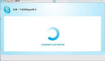 创建skype,重塑现代通讯新纪元