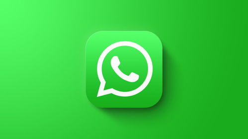 打开whatsapp说时区不对,用户呼吁优化调整功能