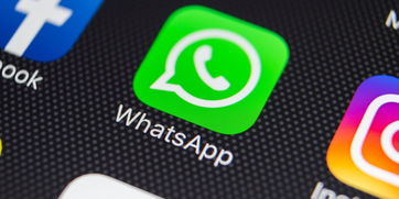 迪拜今天whatsapp链接中,探索城市魅力瞬间