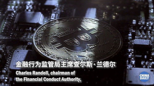 炒作加密货币骗局有哪些,警惕投资陷阱