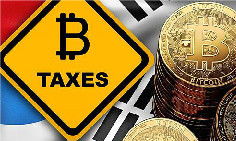 法国加密货币网站,引领数字货币潮流的先锋平台