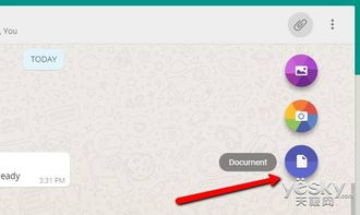 电脑WhatsApp发文件,轻松实现跨平台高效沟通与协作