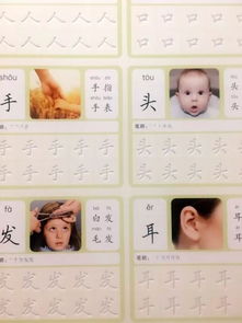 数字游戏英雄生存 
