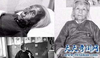 太太我喜欢你 