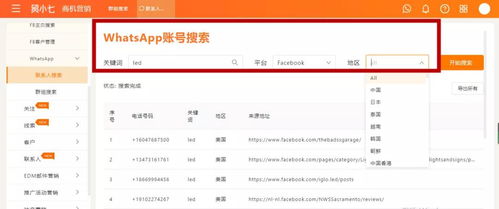 采集有效whatsapp全球通,洞察全球社交趋势