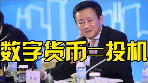 樊纲加密货币,解码加密货币的未来发展趋势