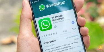 俄罗斯社交软件whatsapp,社交巨头在俄国的崛起与影响