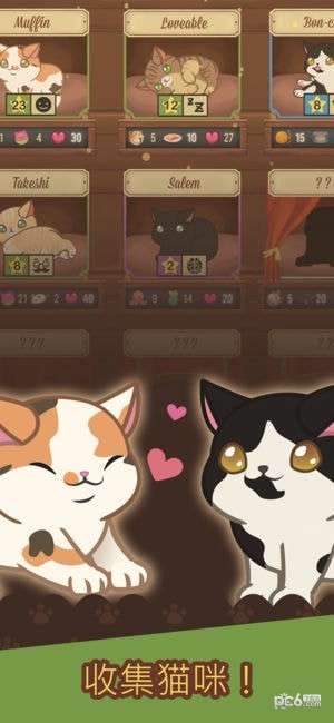 绒毛猫猫咖啡厅 