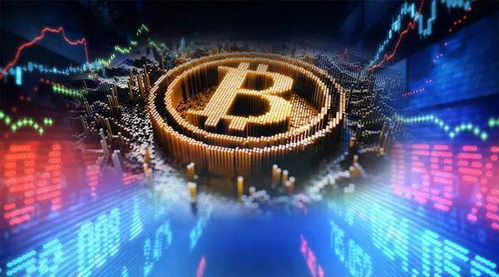 采访加密货币持有者,他们的投资故事与未来展望