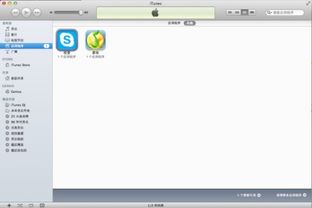 笔记本上的skype是什么意思,连接世界