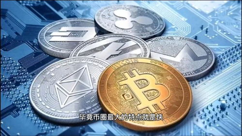 达芙妮加密货币,揭秘其独特魅力与未来潜力