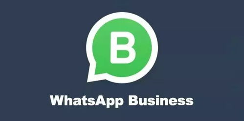 厄瓜多尔区号WhatsApp,解锁区号背后的通讯奥秘