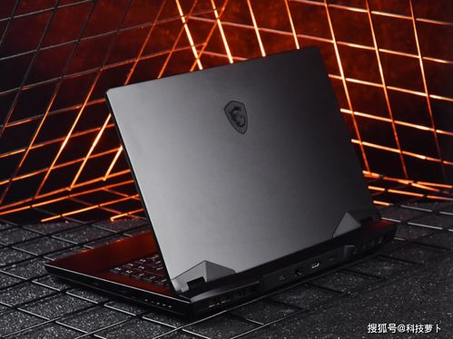 怎么样才能不当社畜:妻子的故事 