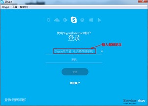 登陆skype立即退出,Skype登录瞬间退出的神秘现象揭秘