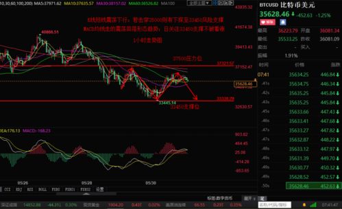 比特币以太坊对冲策略,双重加密货币市场的风险规避之道