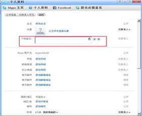 等入第二个skype,创新功能与用户体验升级
