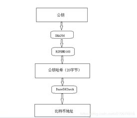 加密货币 公钥和私钥,公钥与私钥的加密奥秘