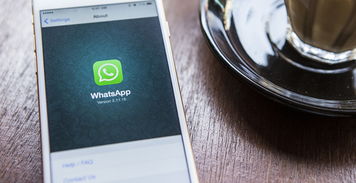 不错的whatsapp工具,高效便捷的即时通讯利器