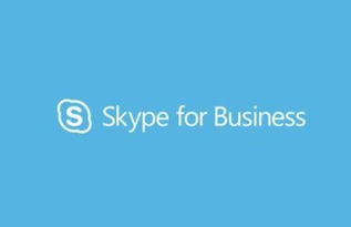 电话拨入skype会议,轻松加入高效沟通