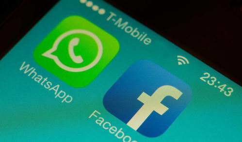 不可替代的whatsapp群发,成员间的珍贵回忆与情感纽带