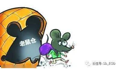 东营加密货币老鼠仓在哪,追踪神秘交易轨迹